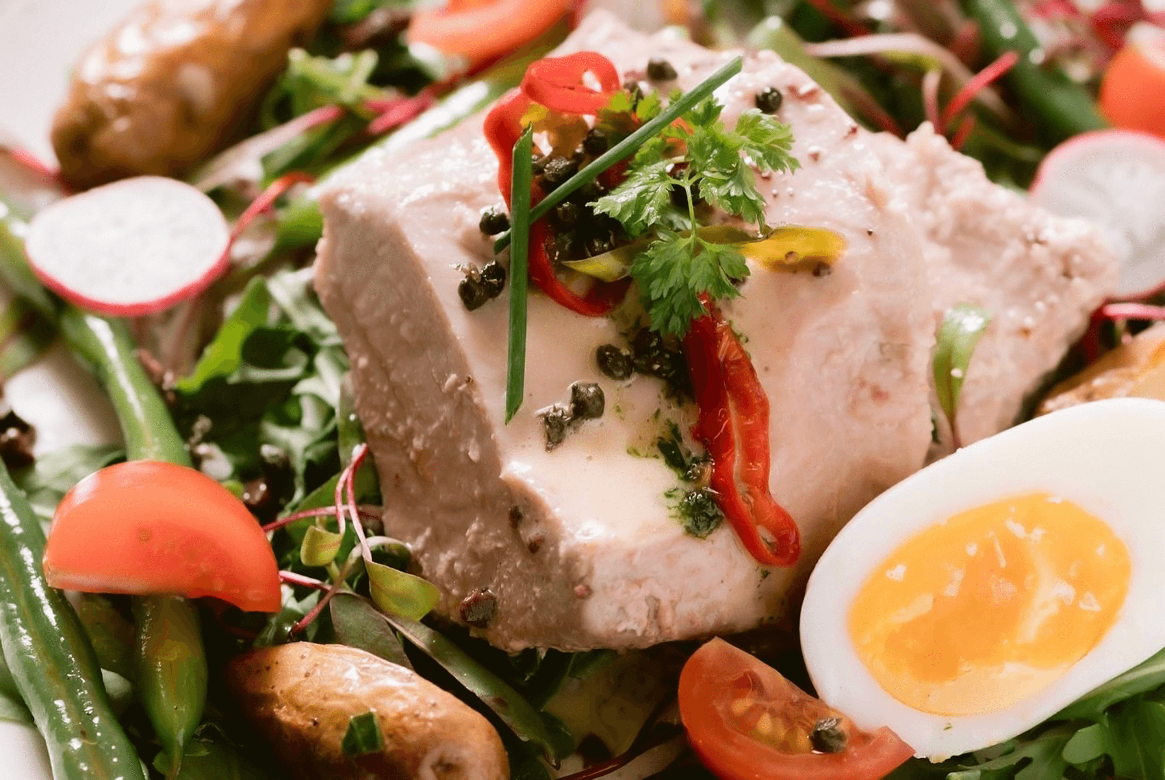 Chef demonstration plate from a culinary masterclass in Chennai