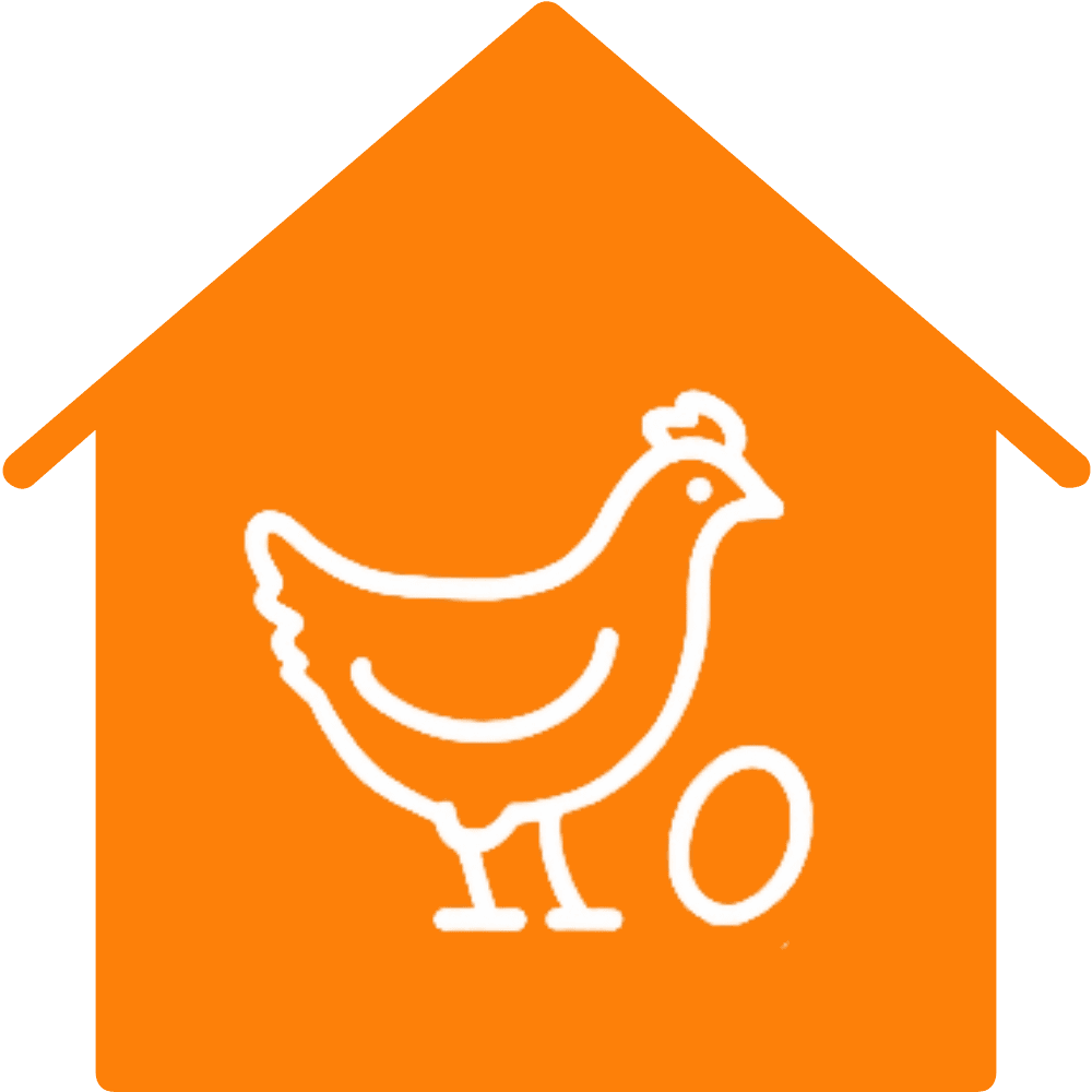 Phones with on the screen 123FEED