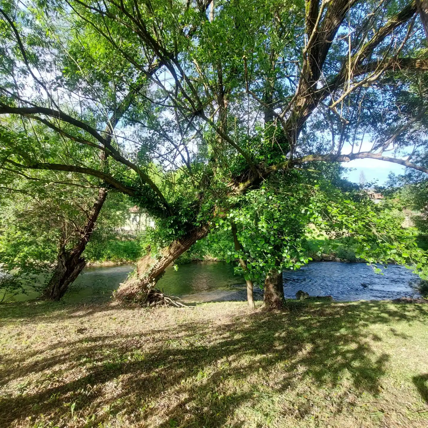 Slika pogleda sa kuce Carobni Kljuc u Zagubici