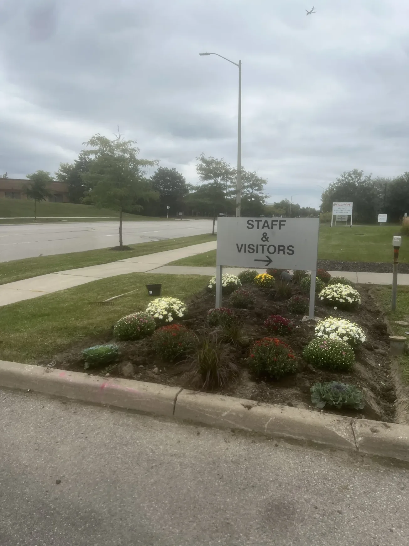 Commercial curbside flower bed planted by Falcons Landscaping with seasonal blooms.