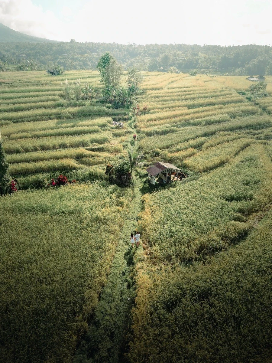 Vidéo de voyage pour projets, destinations et expériences
