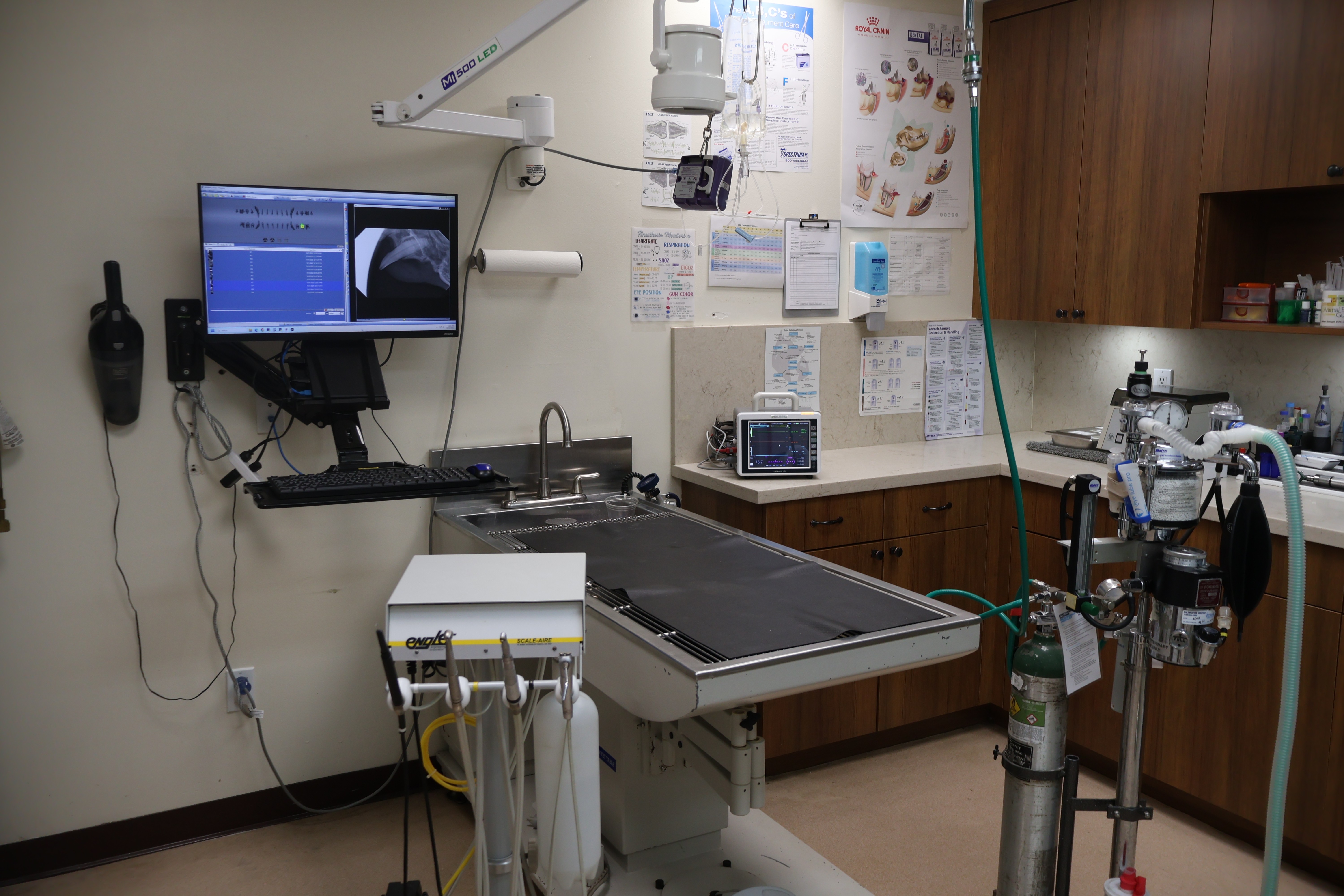 dental suite with treatment table