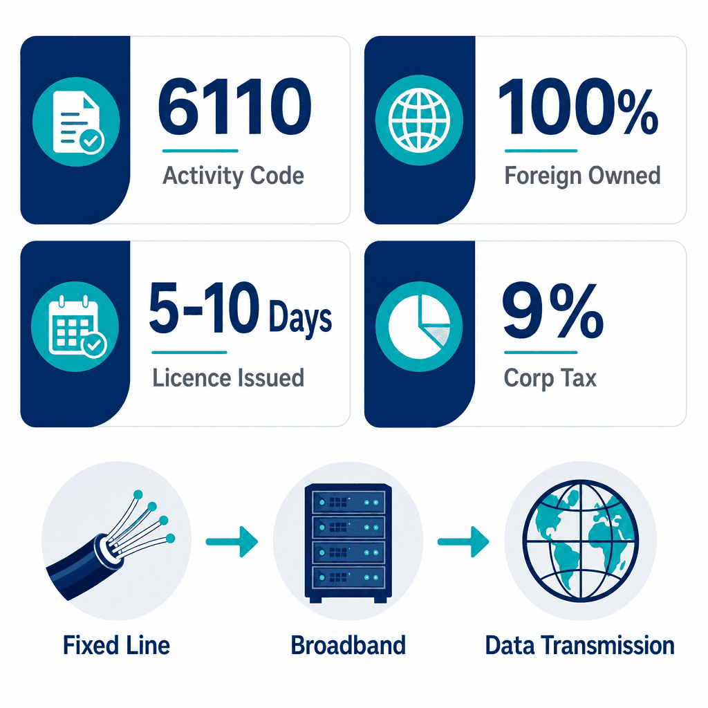Infographic: Wired Telecommunications Services Business License in Dubai