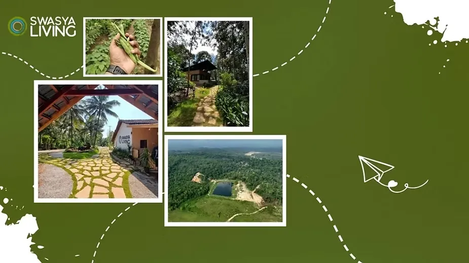 Everything You Need to Know About Agriculture Land