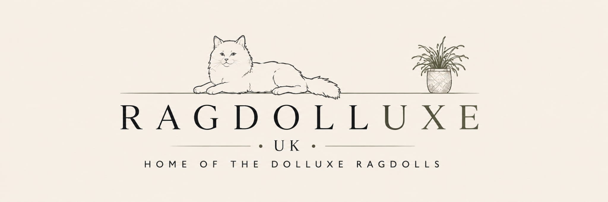 Ragdolluxe