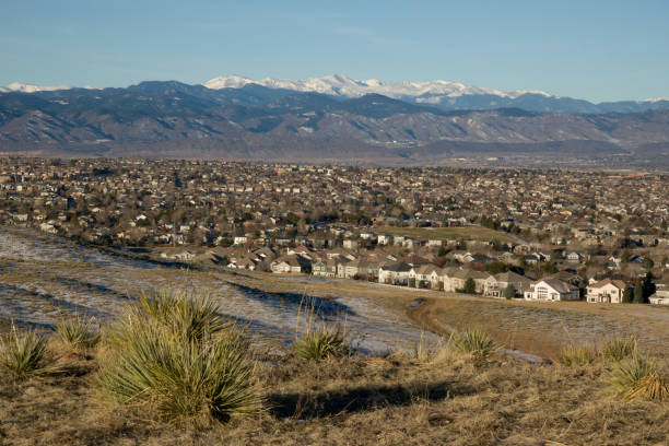 Small business owner at work.