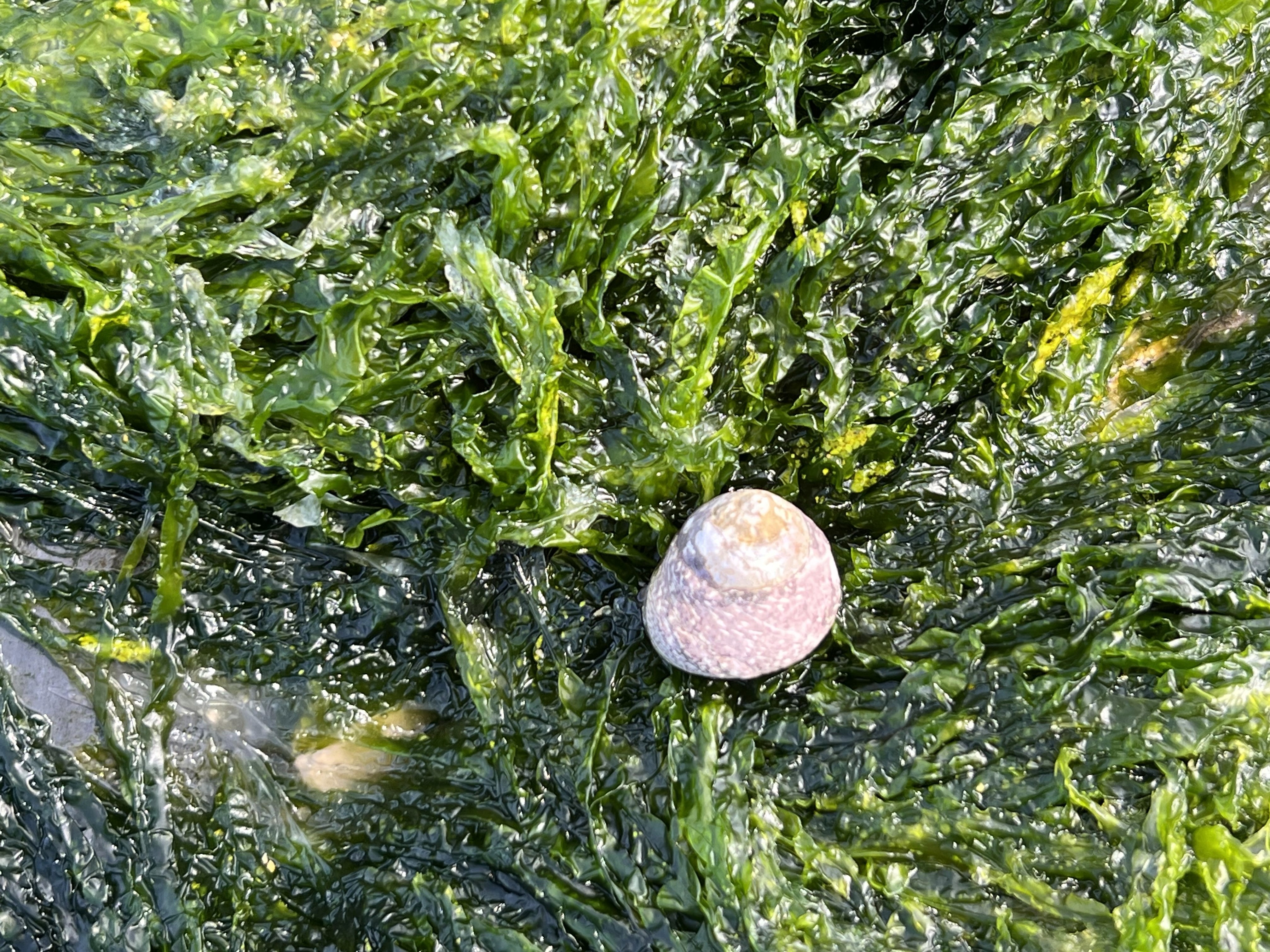 blue sky and white clouds over the sea