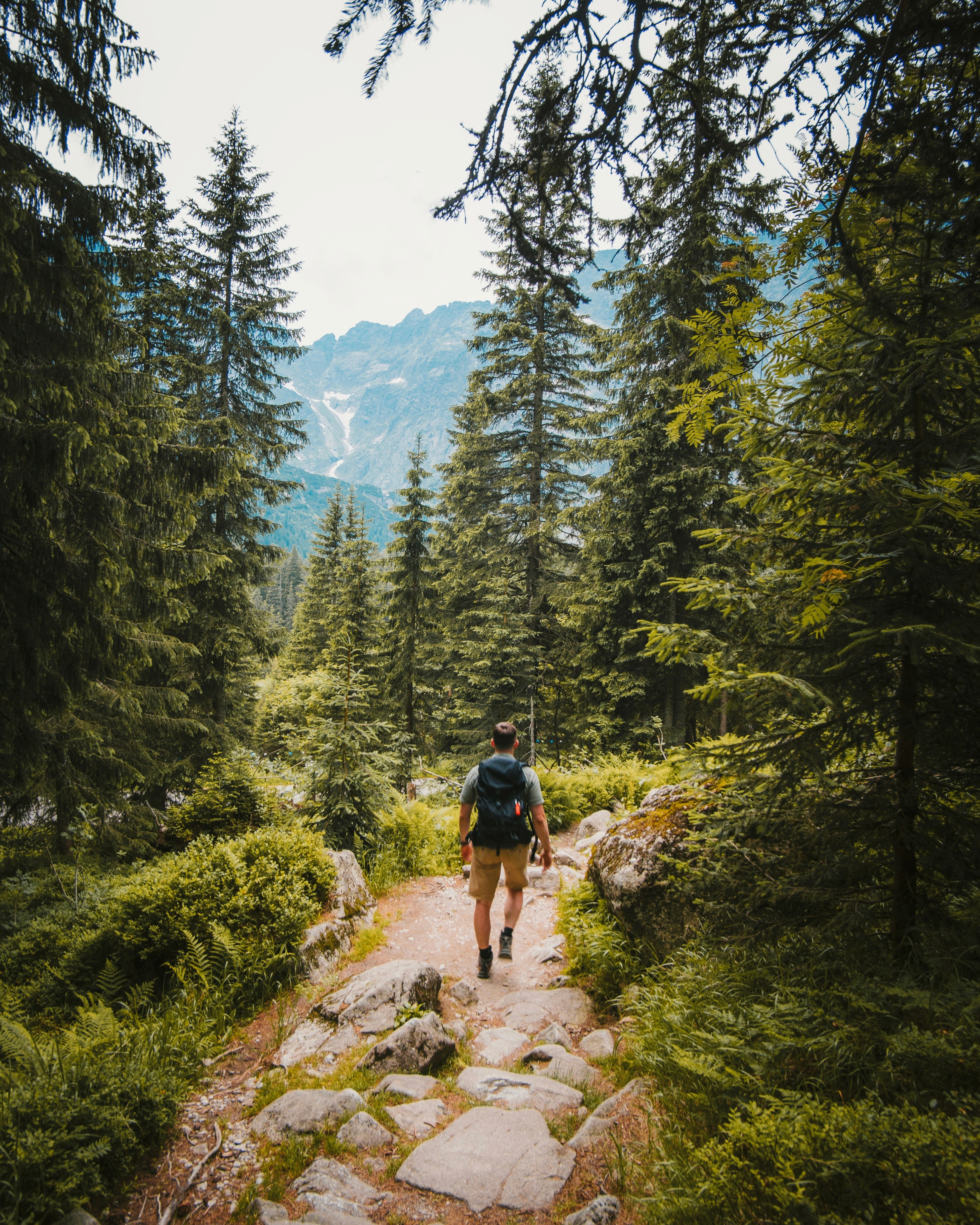 A male hiker with a backpack walks on a rocky trail