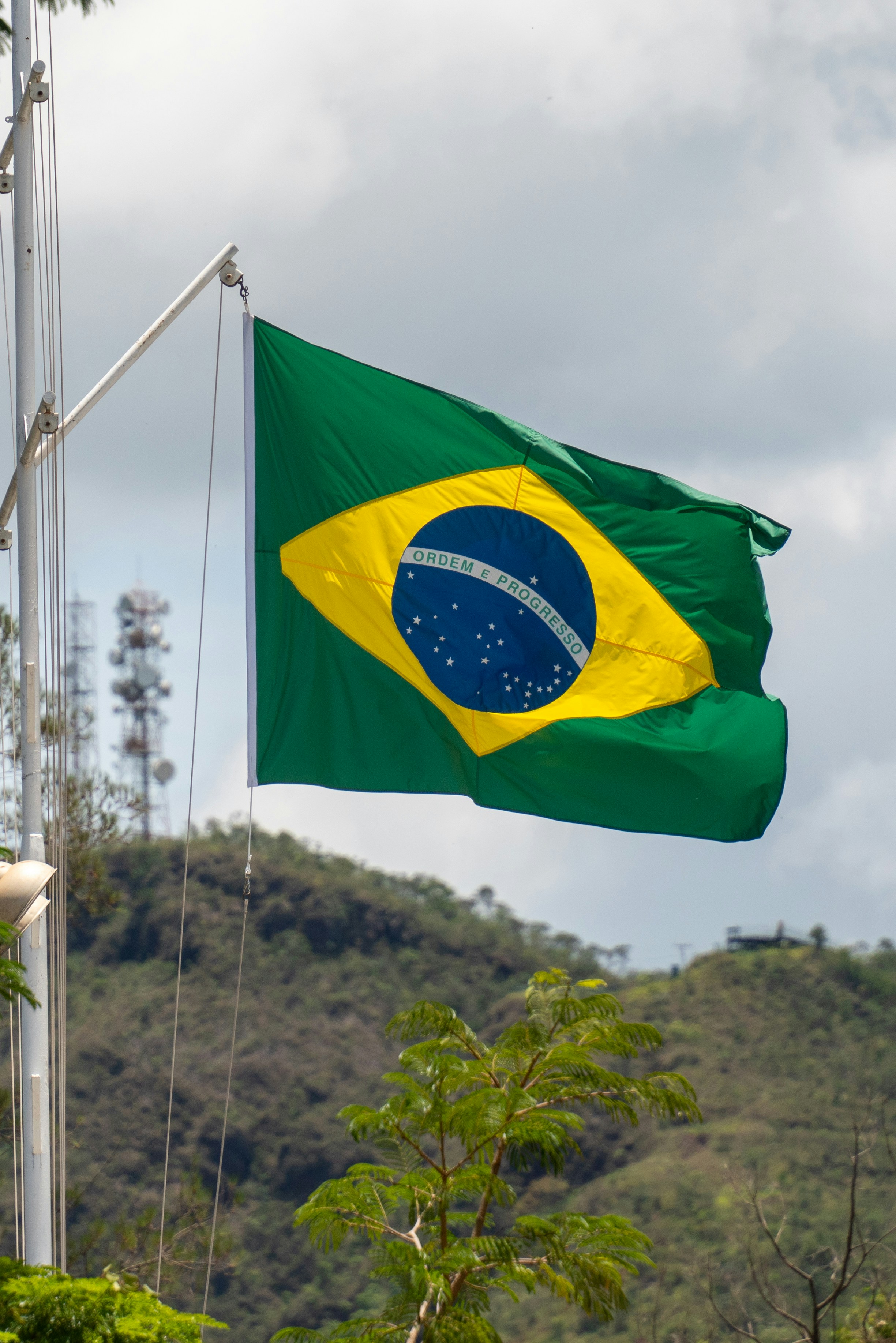 a green and yellow flag flying in the wind