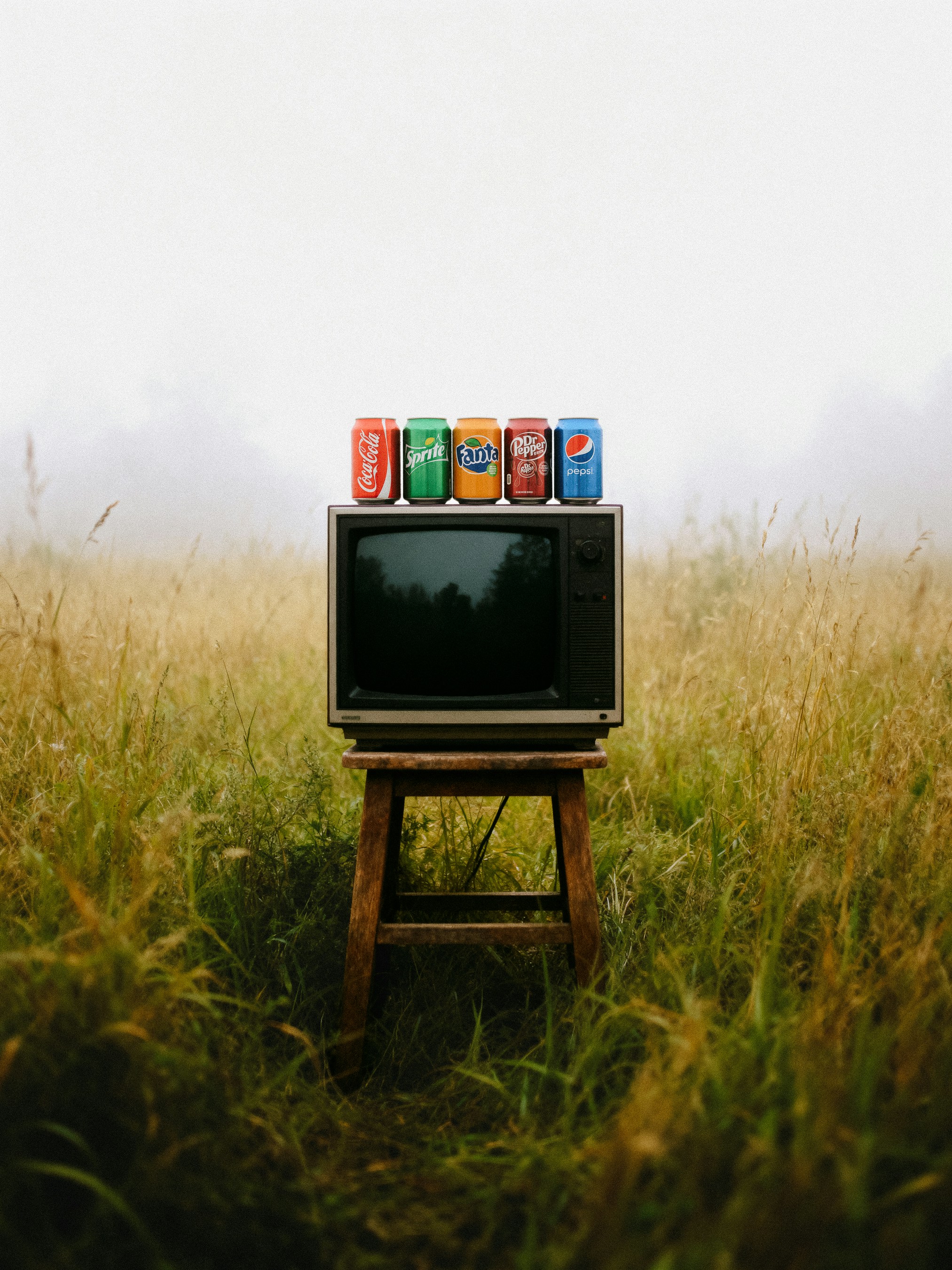 Vintage television with soda cans on grassy field