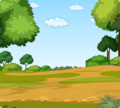 Bg Image