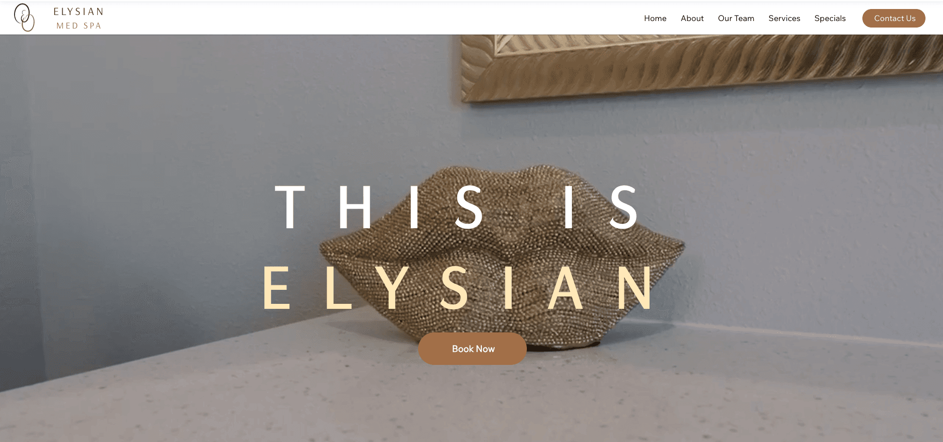 Elysian Med Spa Front Page Website