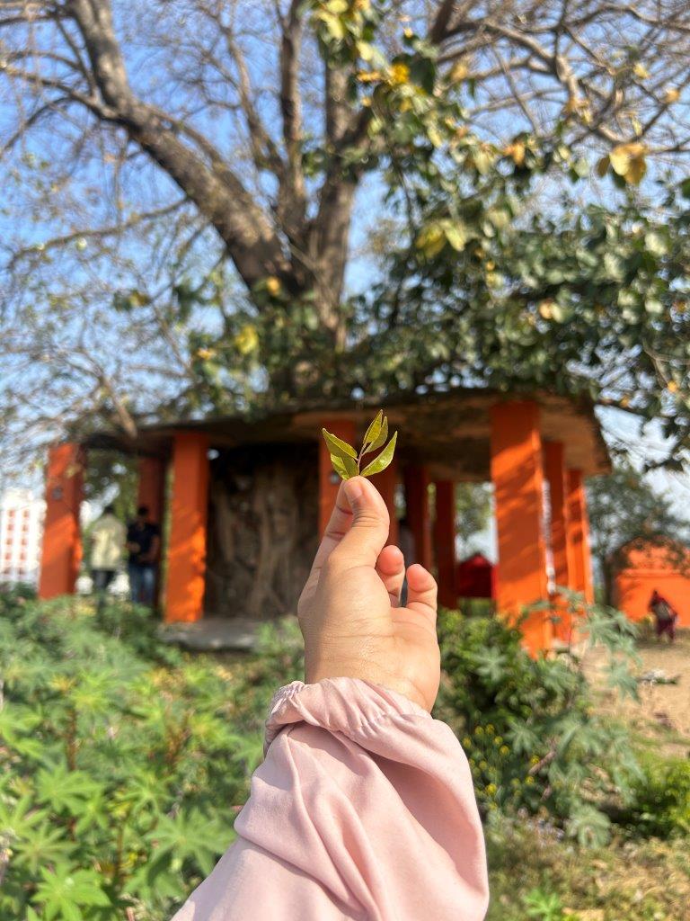 hand holding leaf