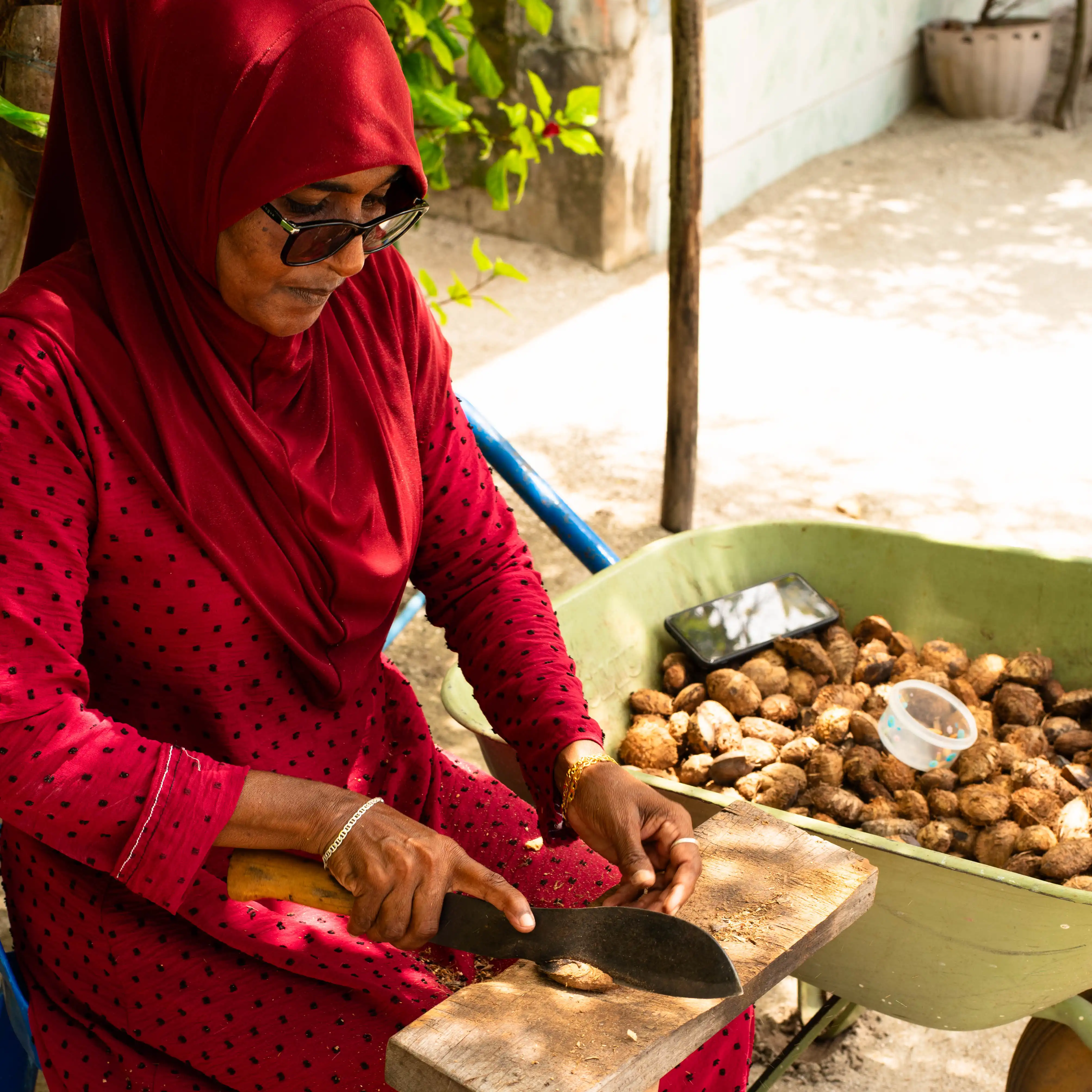 a large building with a lot of windows on top of it