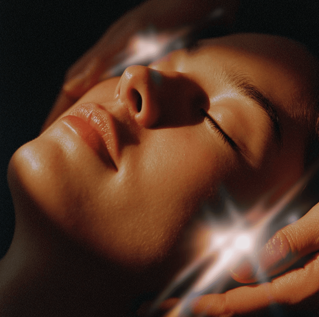 Close-up of a tree stump showing growth rings and a textured brown wood surface.