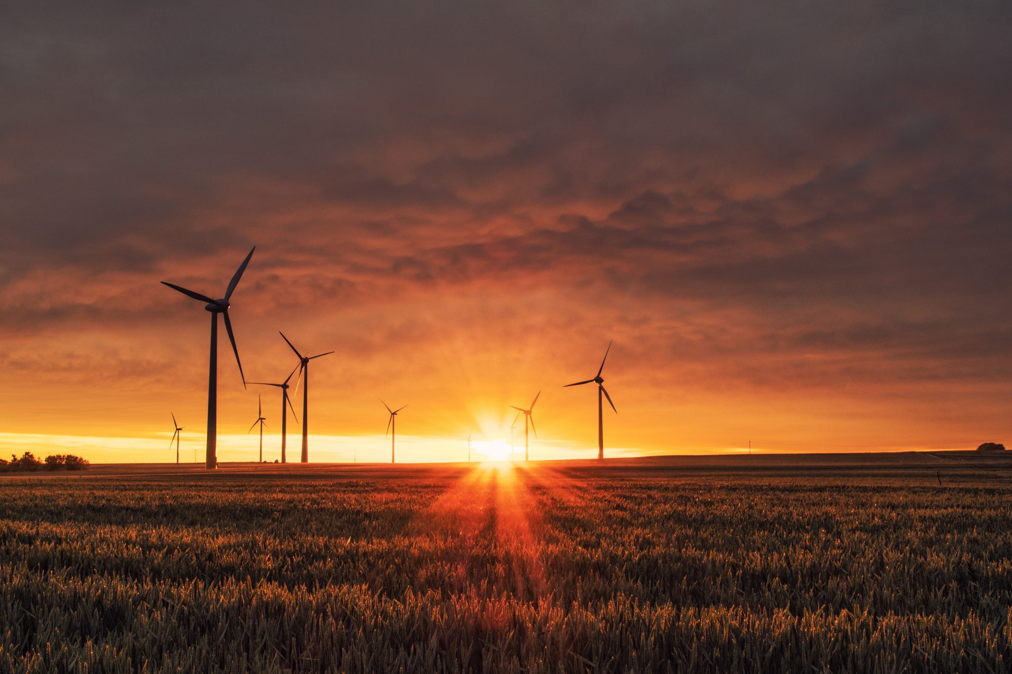 A stunning sunset casts golden light behind silhouetted wind turbines against a dramatic sky.
