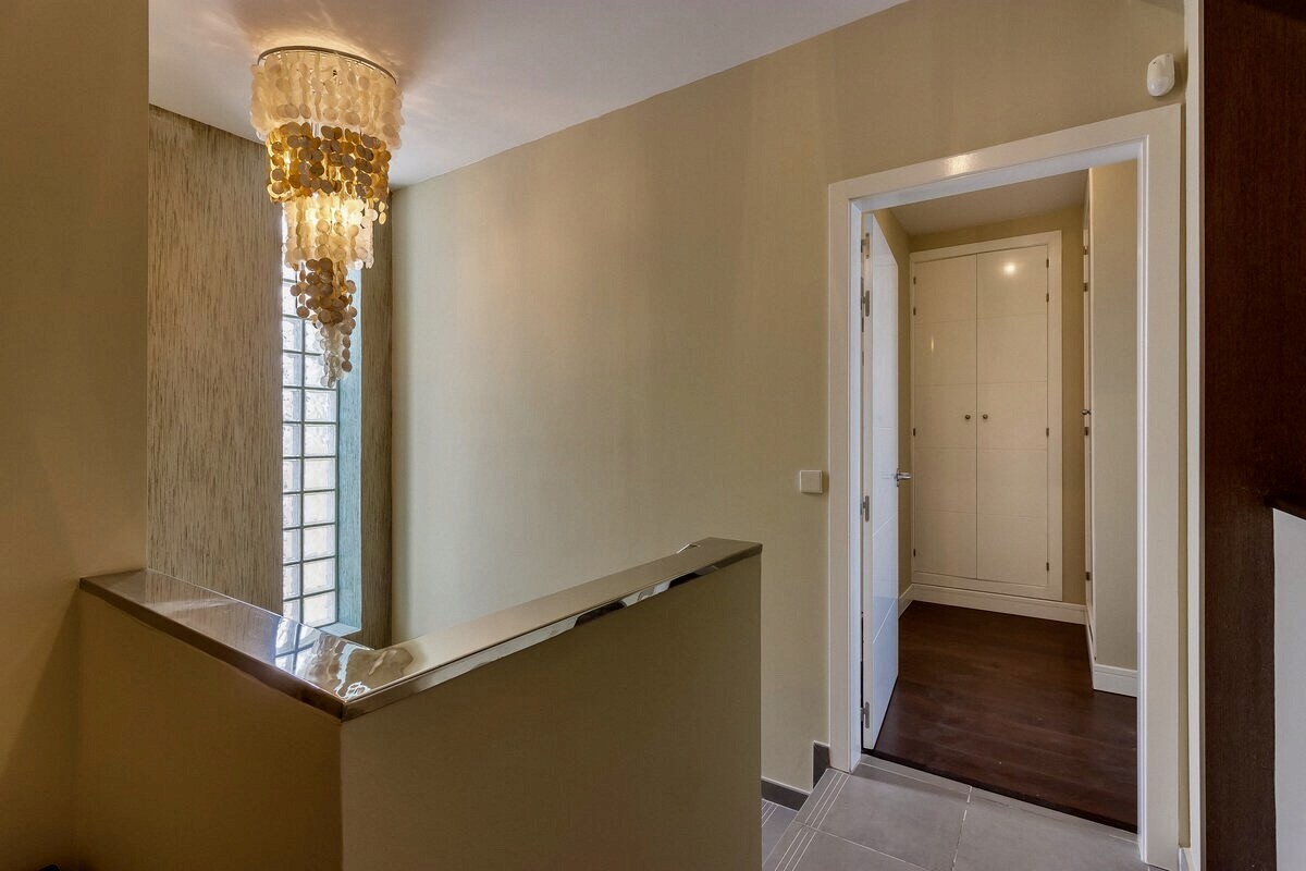 White Whale Photo 20