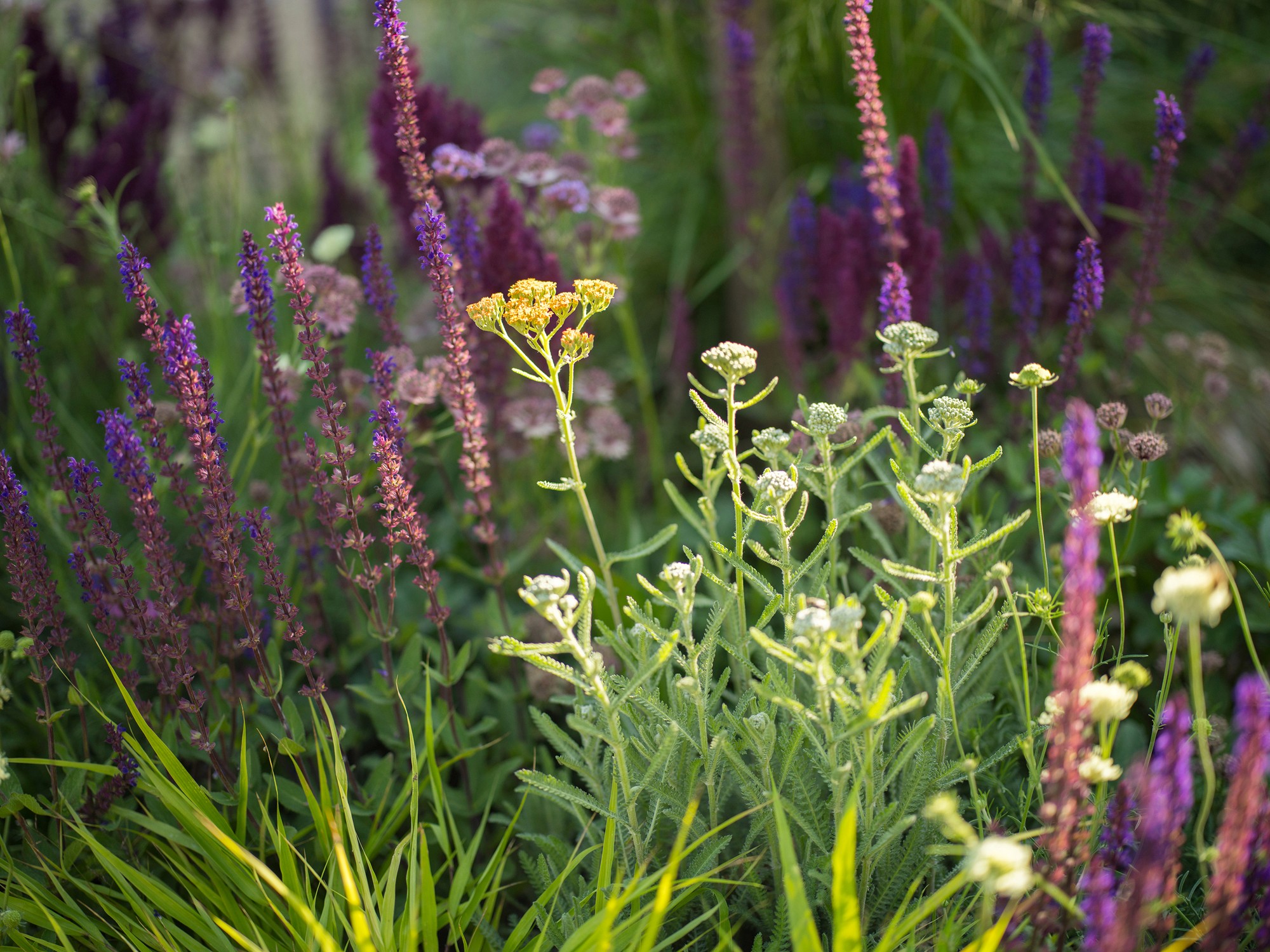 A mockup with 3 screens from jop portal app
