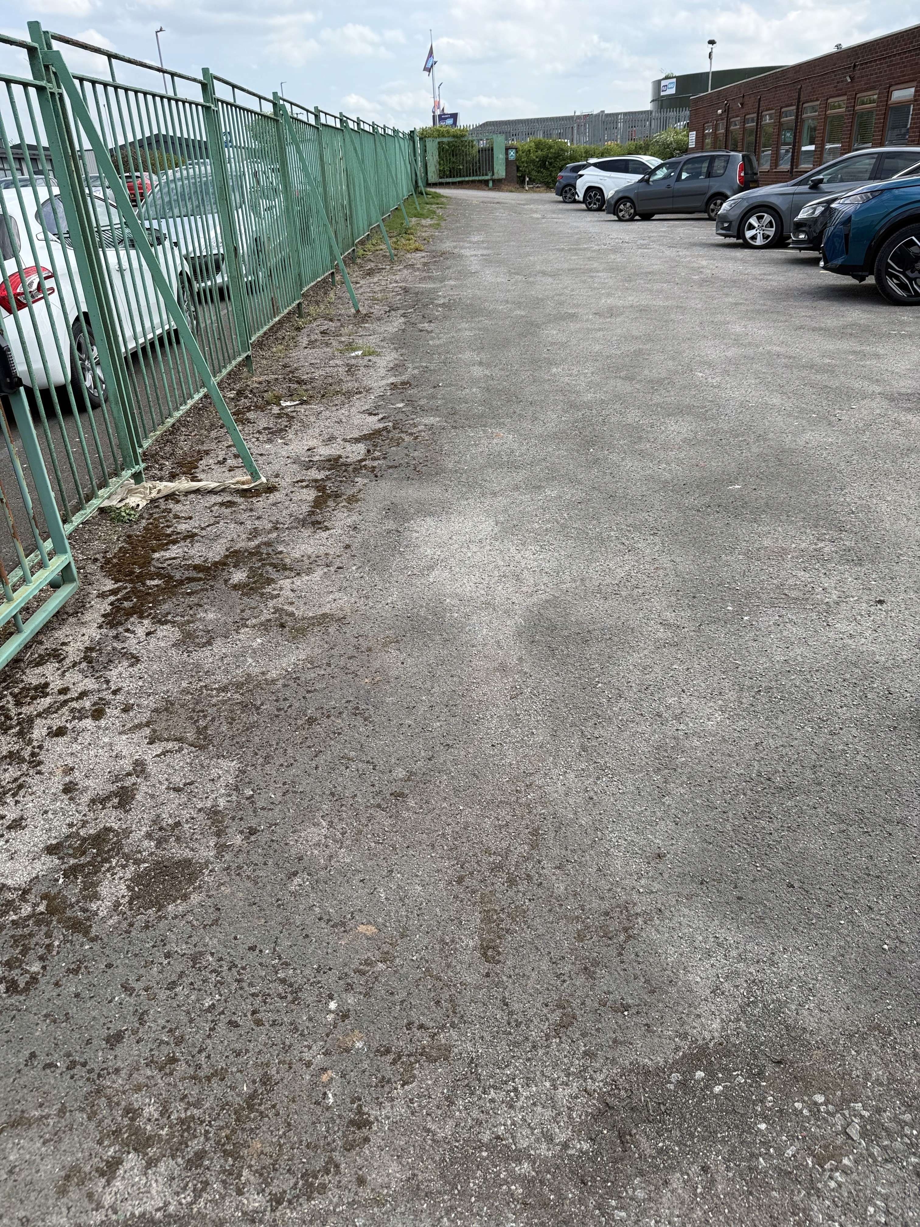 Surface before