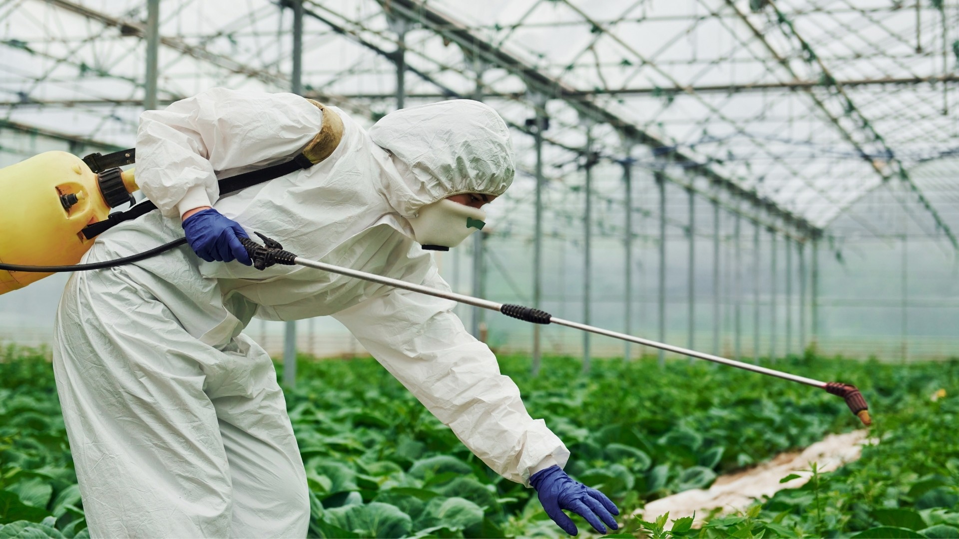 How Can Farmers Prevent Pest Infestation in Their Medicinal Plant Gardens?