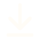 download icon