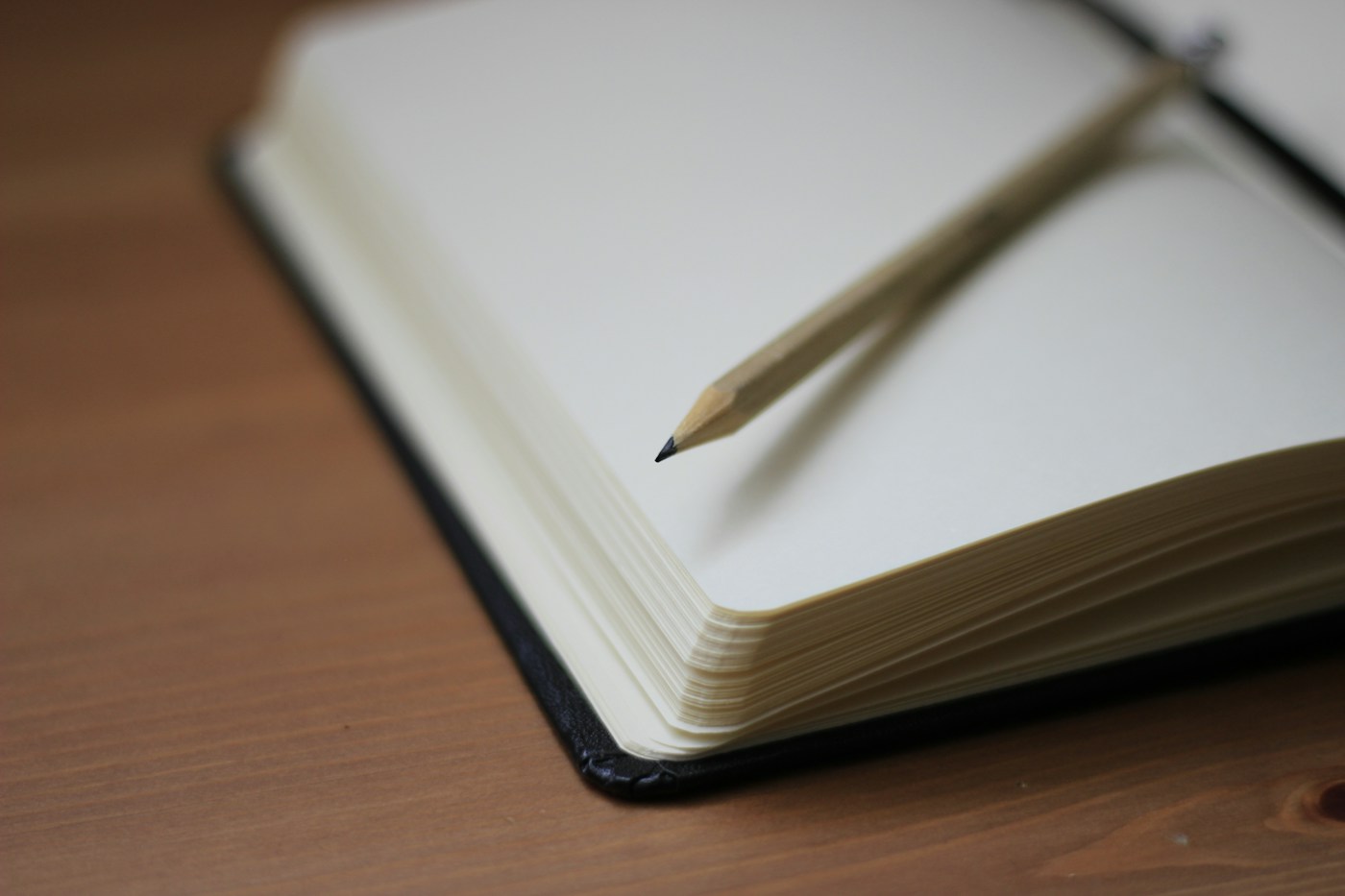 pencil resting on the margin of an open book with underlined text