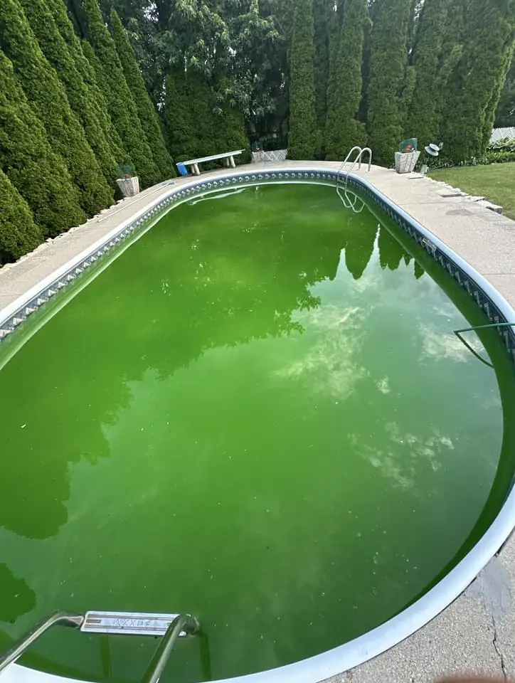 Best Pool Companies for Green Pool Problems in Northern Virginia