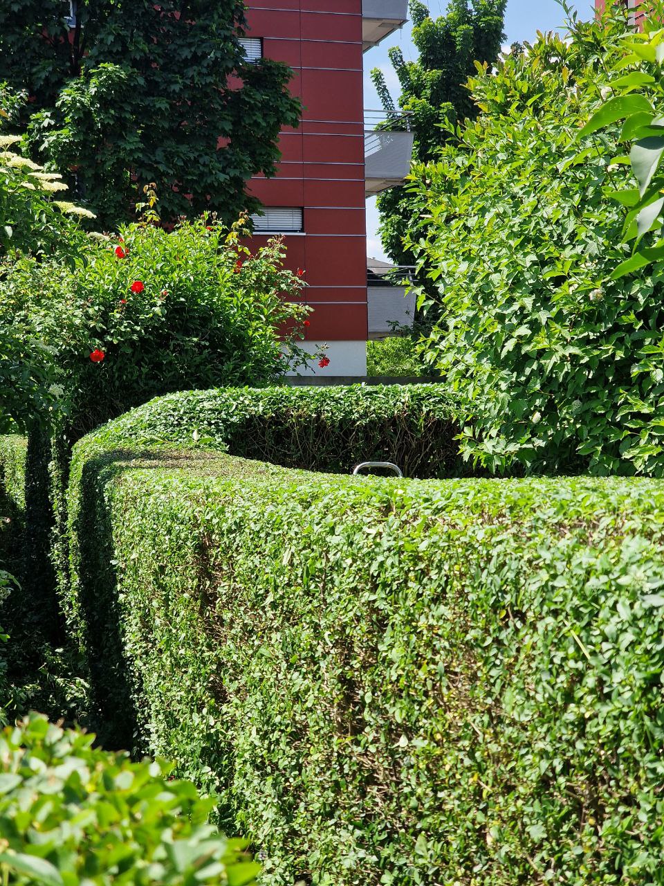 Private garden