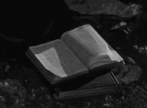 Bible Book Pages Fluttering in Wind