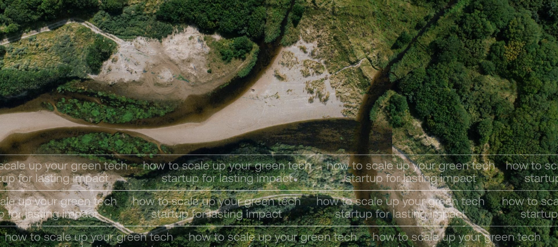 How to Scale Up Your Green Tech Startup for Lasting Impact
