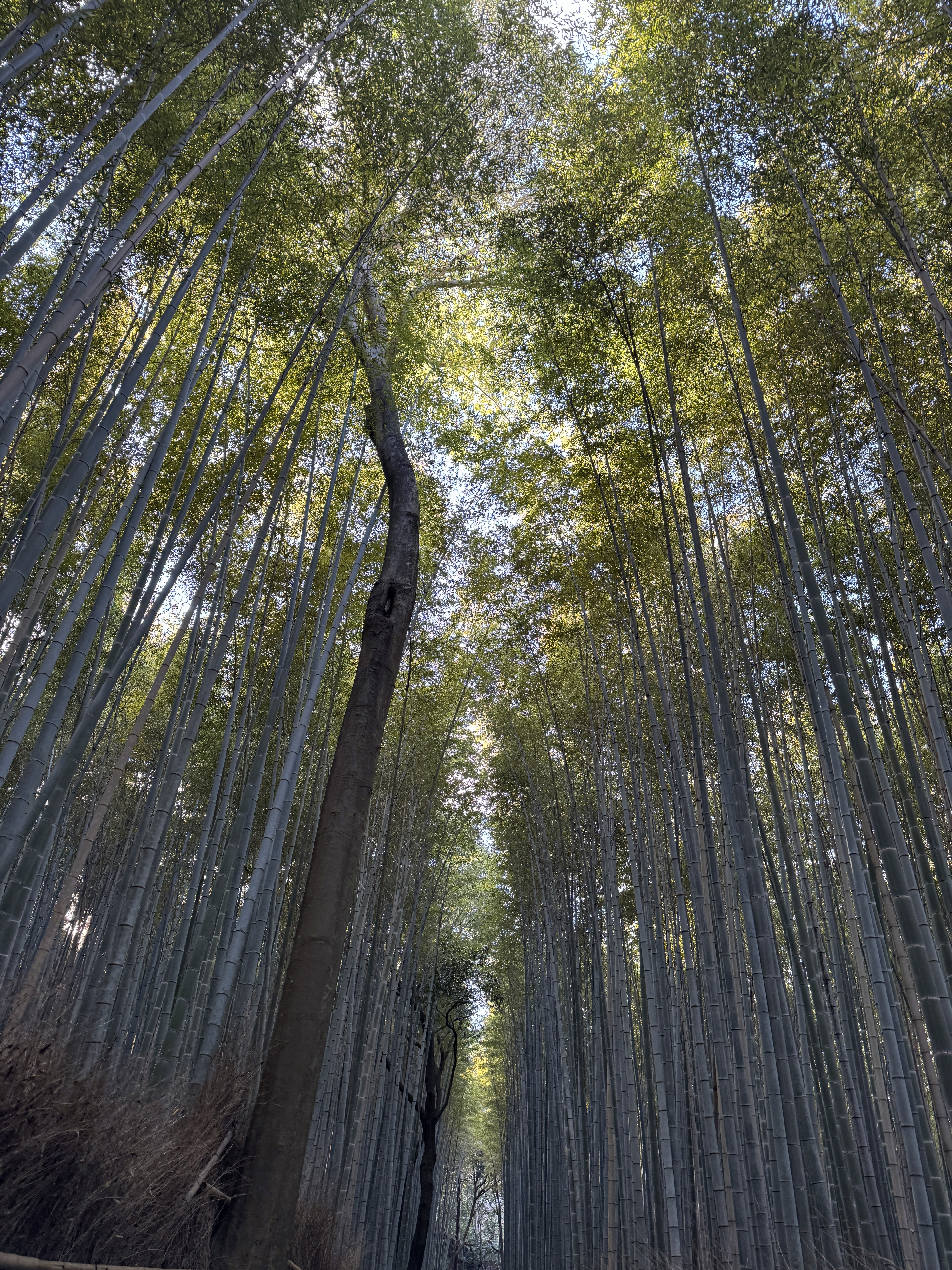 low angle view of a building