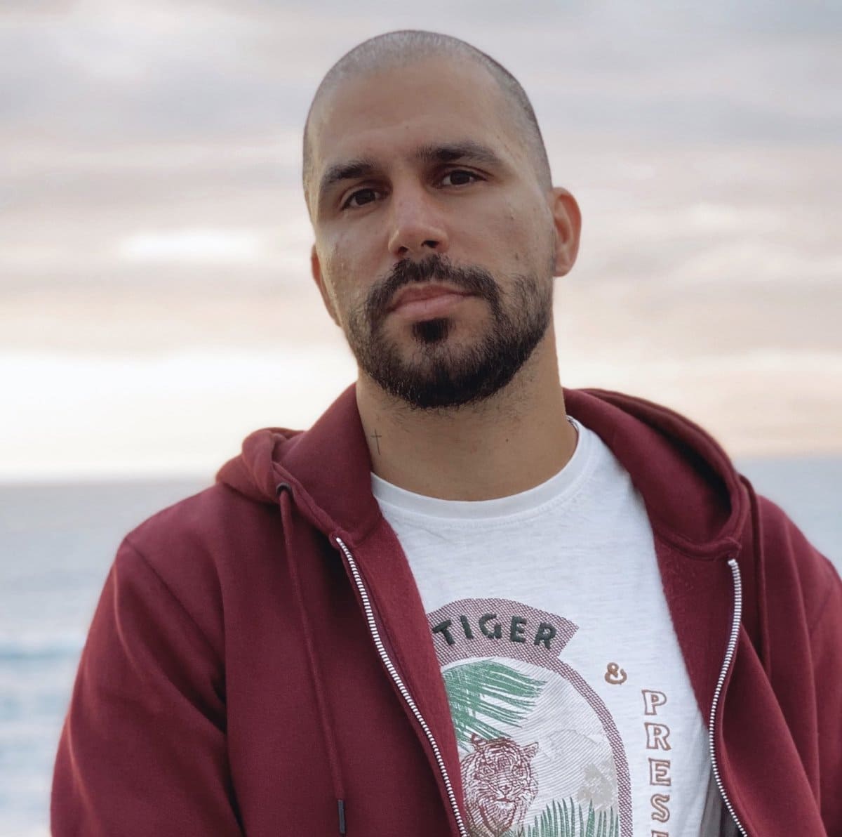 Luis Vieira