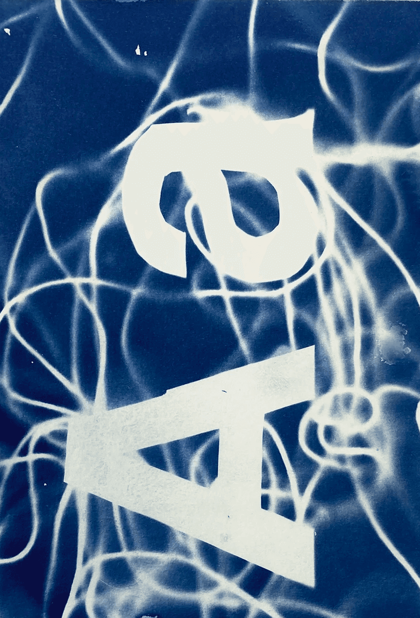 Cyanotypie-Komposition aus filigranen Pflanzen und grafischen Zahlen, künstlerische Verbindung von Natur und Typografie.