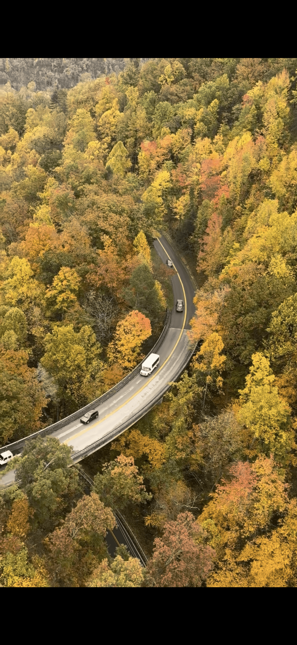 City street with crosswalks and parked bicycles