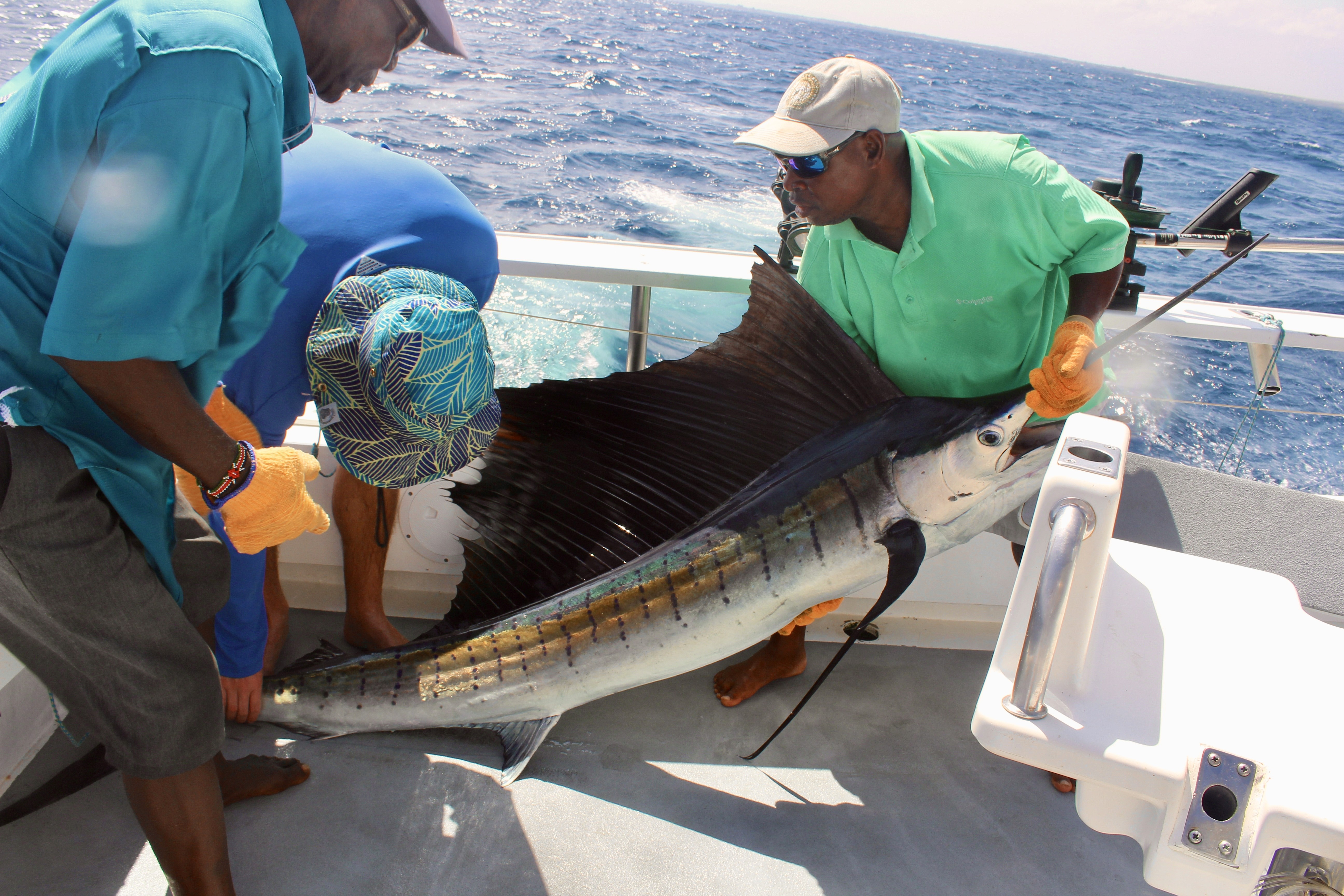 Fishing Tours Overview