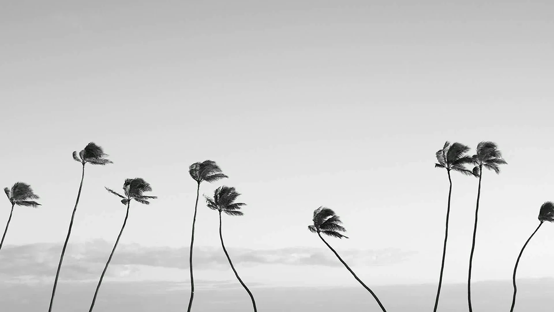 For Friends for Louis Vuitton: supporting image showing a visual detail from the project’s cinematic world.
