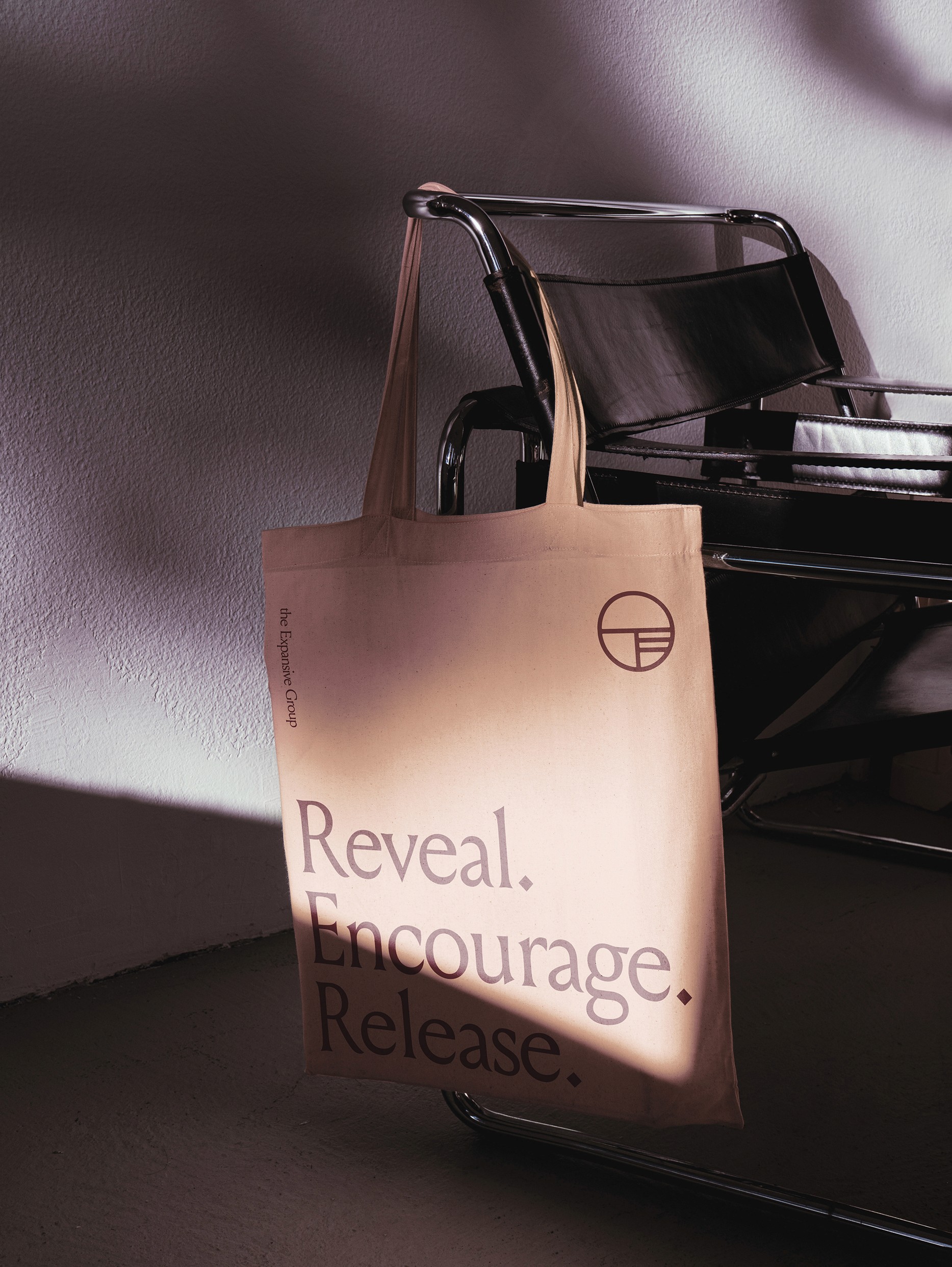 Branded the Expansive Group totebag.