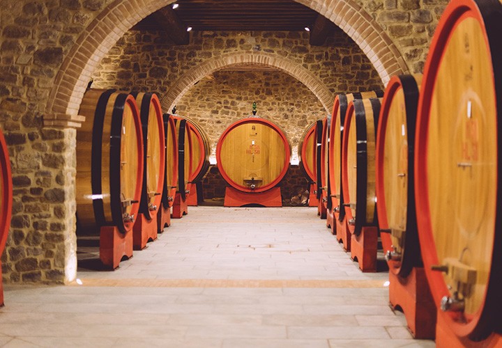 Individual Nutrition Consultation