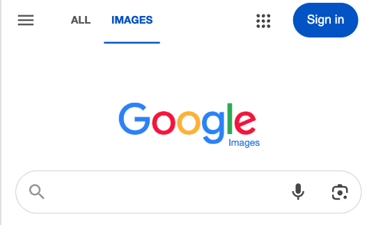 Google Lens and the visual query