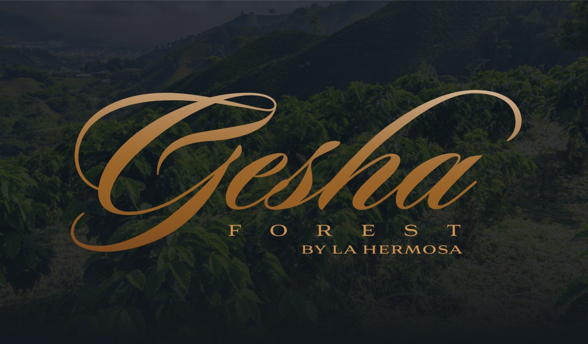 Gesha Forest