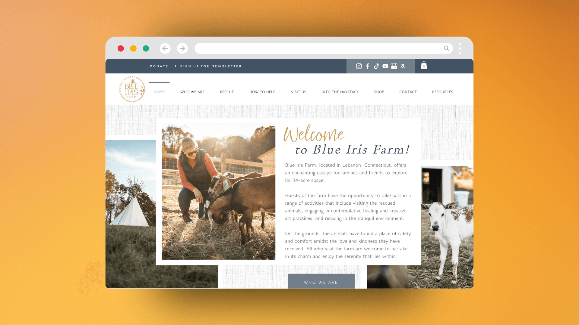 Blue Iris Farm website homepage design preview