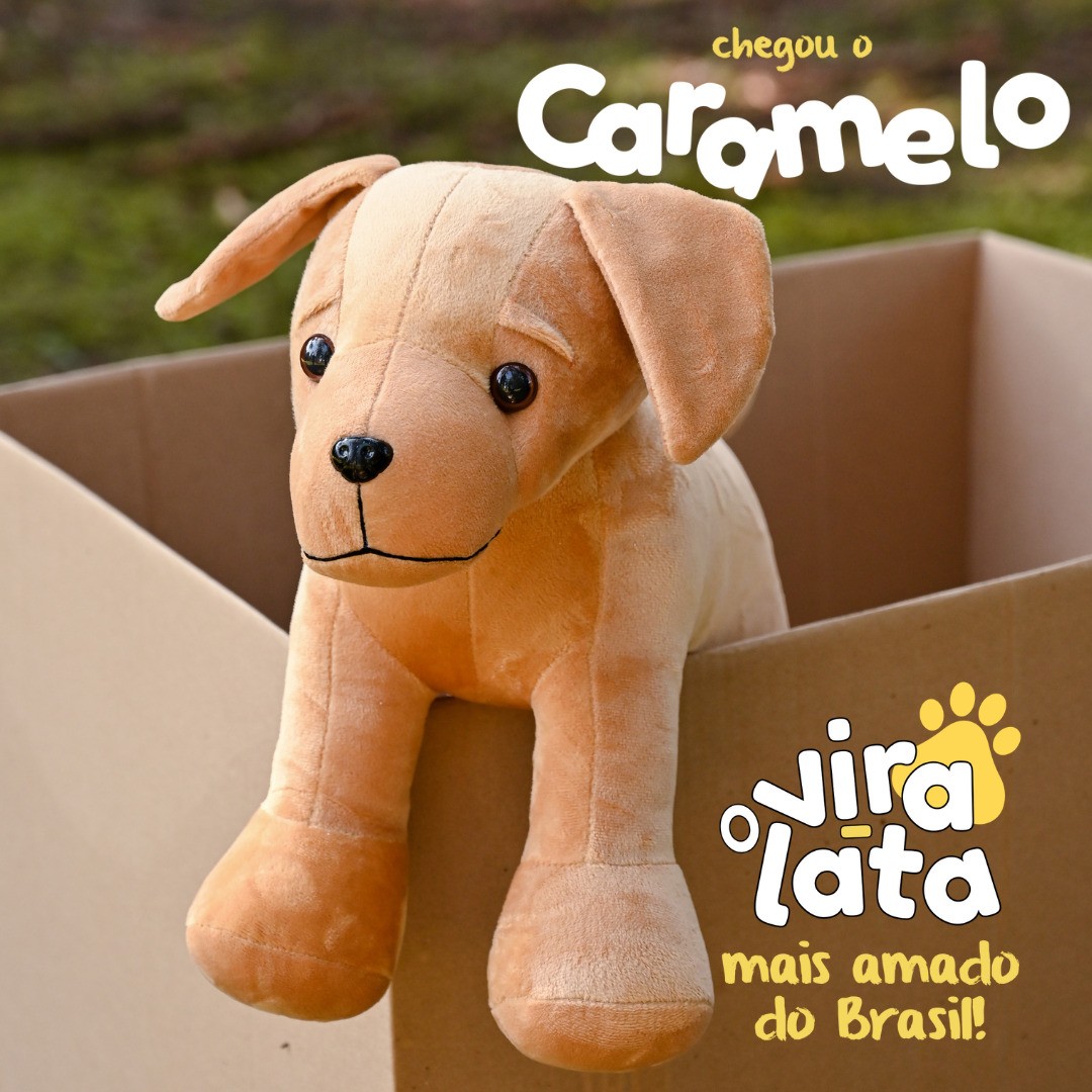 A Criamigos lançou mais uma versão para personalização o vira-lata caramelo