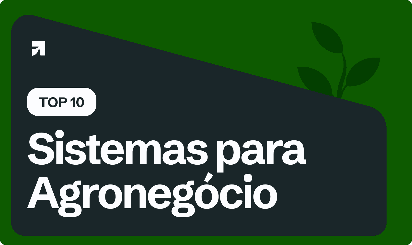 Top 10 sistemas para agronegócio
