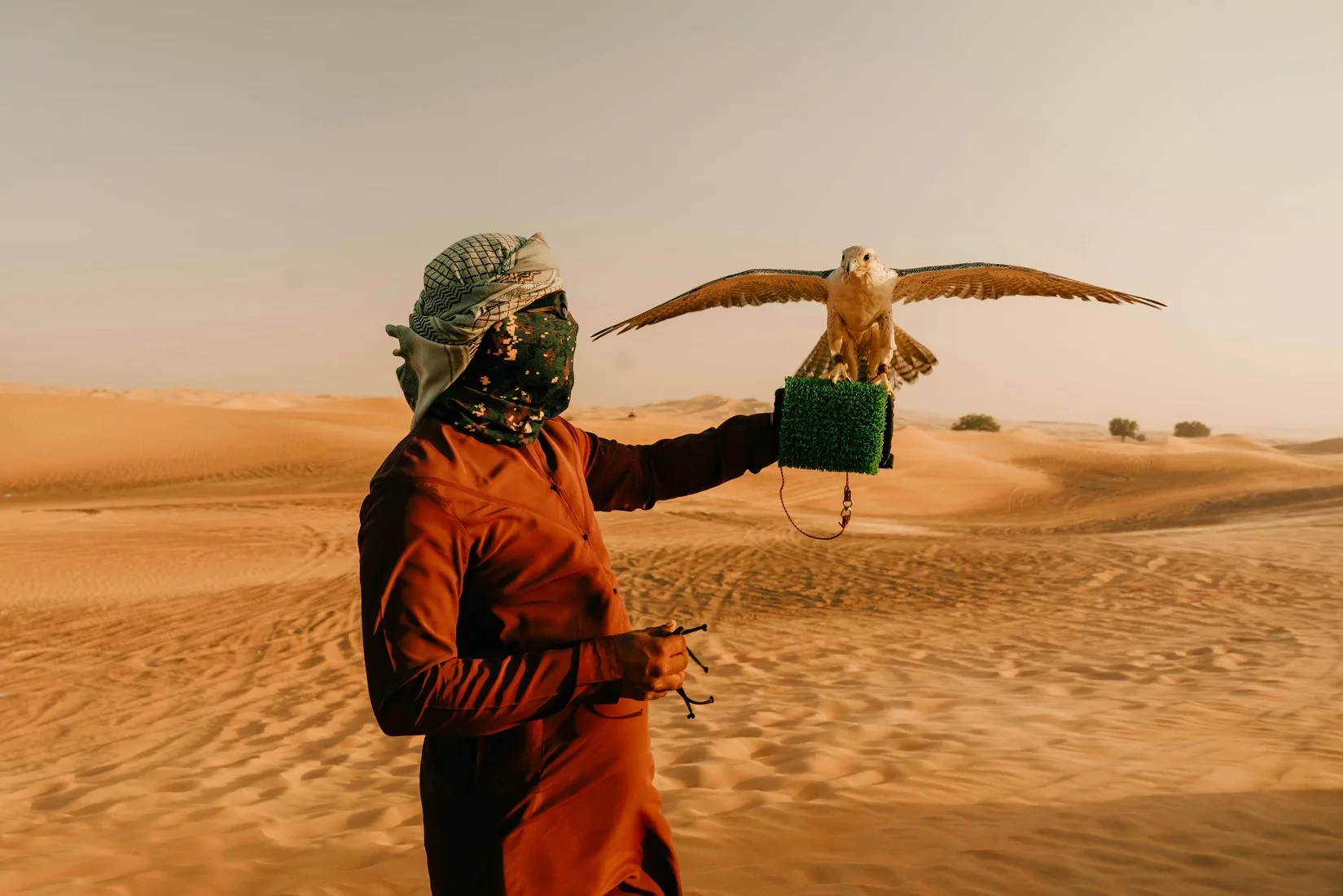 Ave pousando no braço de um homem