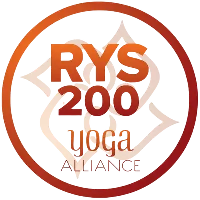 2024-039 Certificate for 300 shares in the Trenton Electric and Water Company Limited, in the name of Henry M. Pellatt. Originally found with discarded materials at Casa Loma in Toronto. Donated by Brian Duke in May 2024. Taken on June 18, 1902