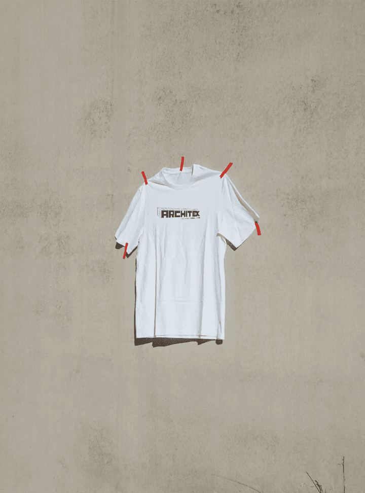 Globe Item 48