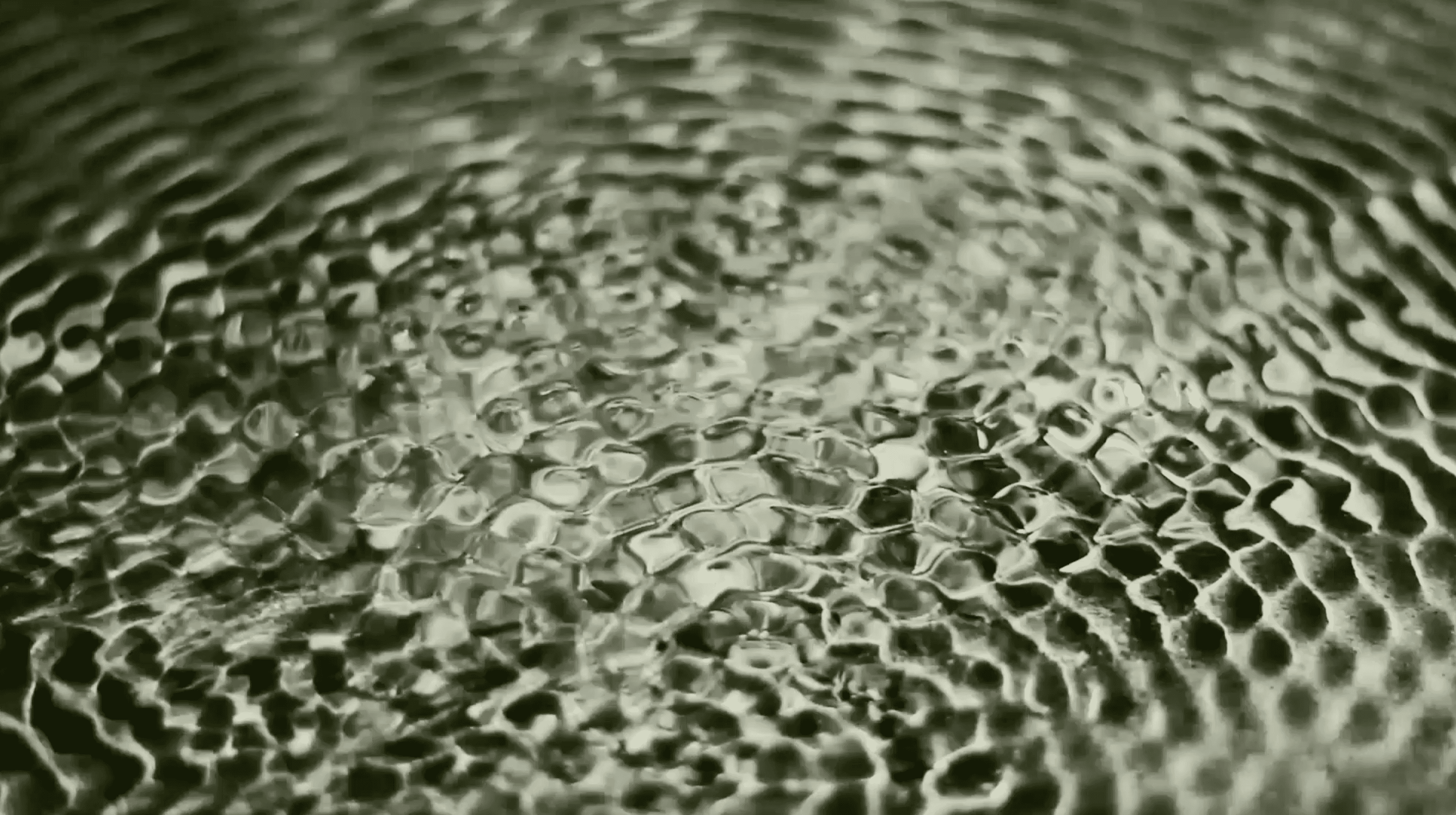 Cymatic patterns formed on the surface of water, created by music frequencies.