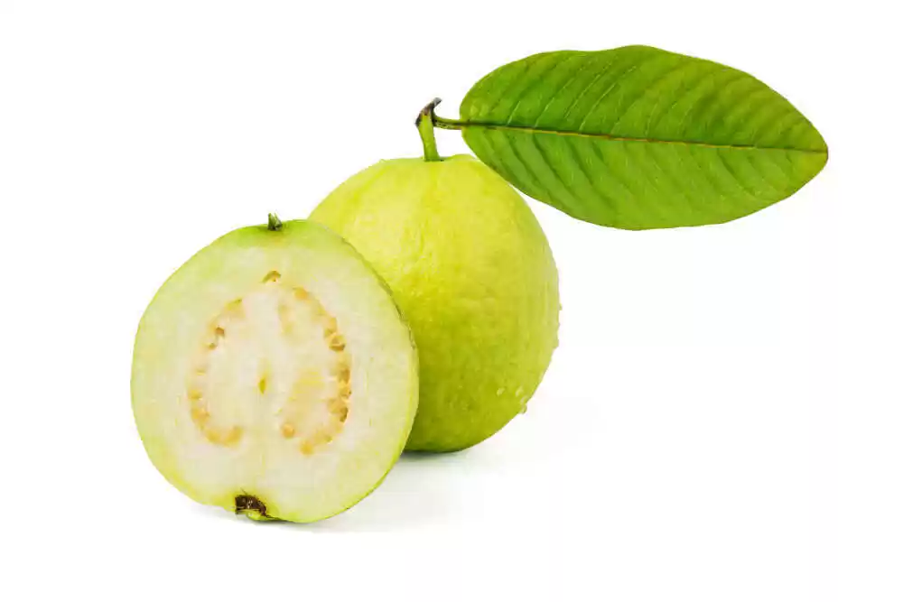 is guava good for diabetes