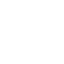 Meshcapade logo