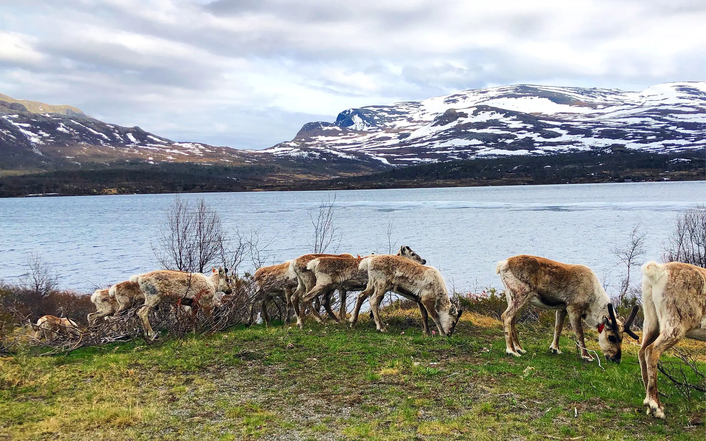 Herlig natur på vei til Galdhøpiggen | Expa Travel